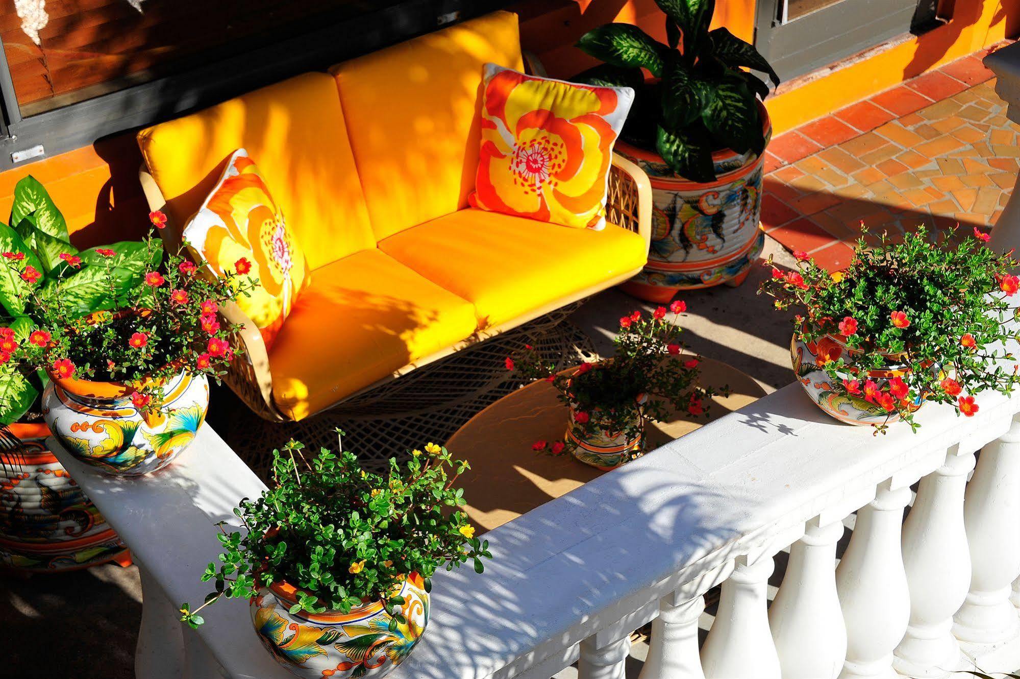 Blue Seas Courtyard Hotel Lauderdale-by-the-Sea Eksteriør billede